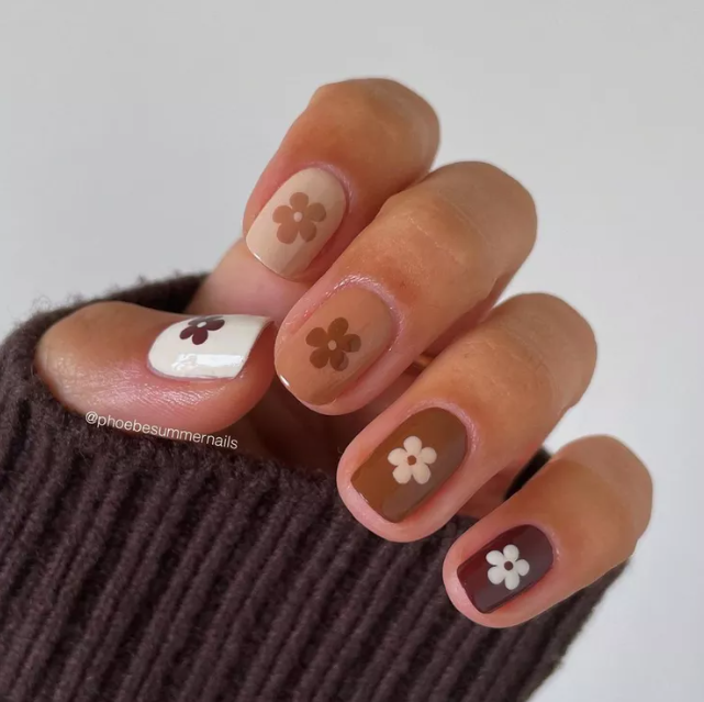 Assorted Chocolate Daisy Nails 